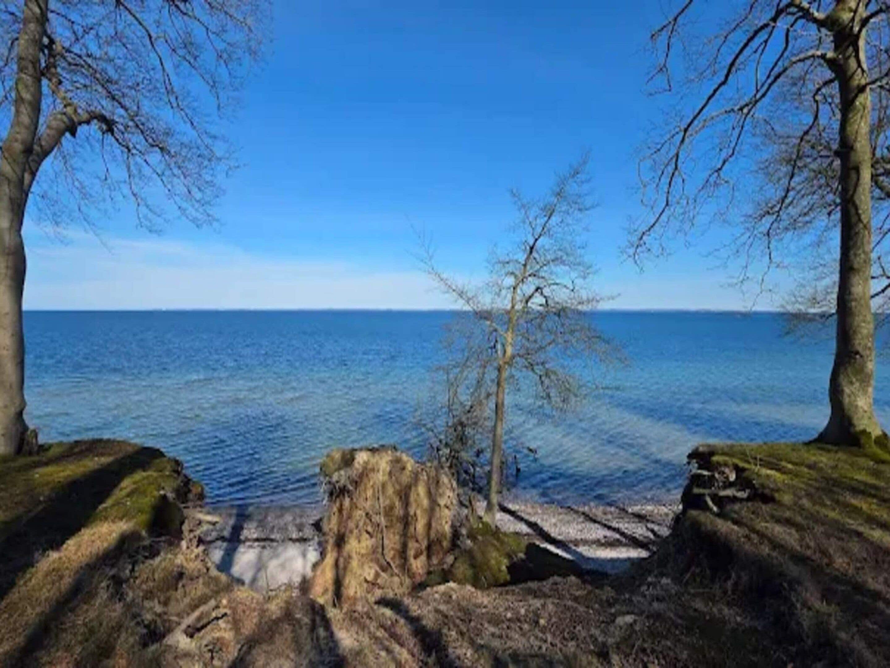 A coastal landscape with a clear view of the sea, a rocky shoreline, and leafless trees framing the scene.