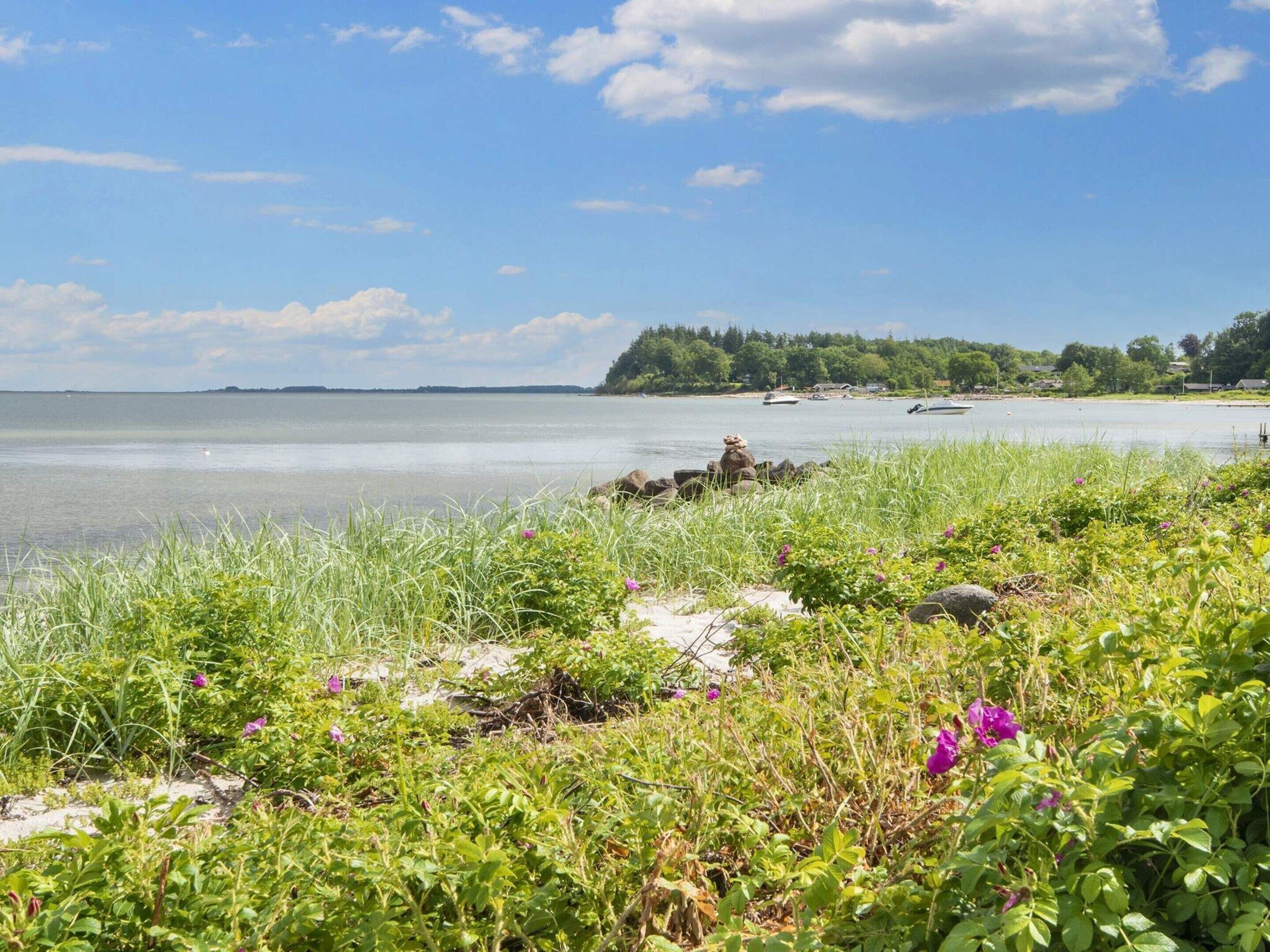 House | Beach | Beach nearby, fishing