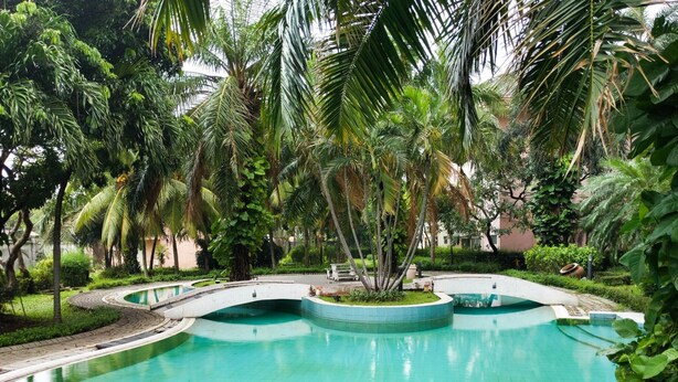 Ein Pool mit geschwungenem Design, umgeben von üppiger Vegetation und Palmen.