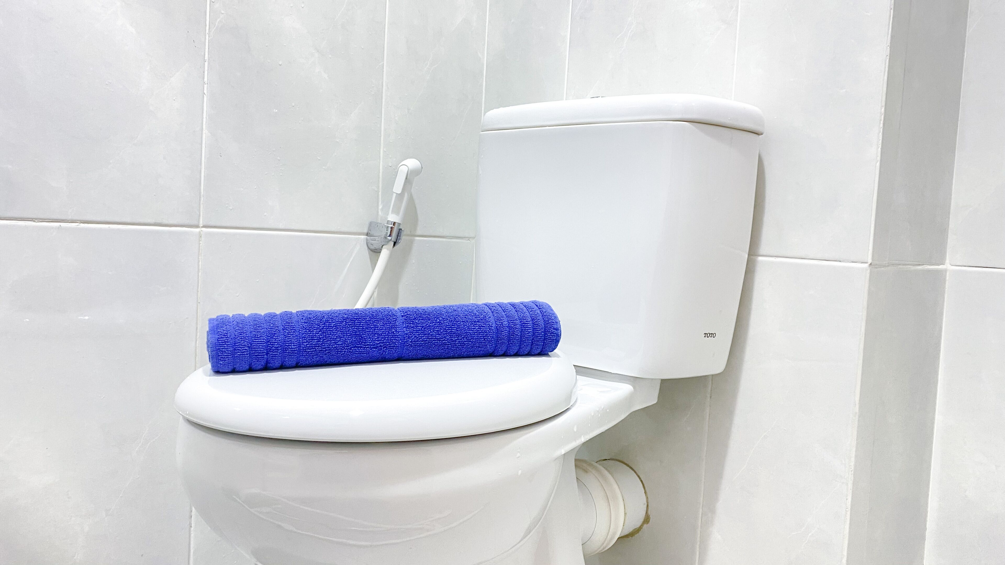 A toilet with a blue cleaning brush and a white toilet paper holder.