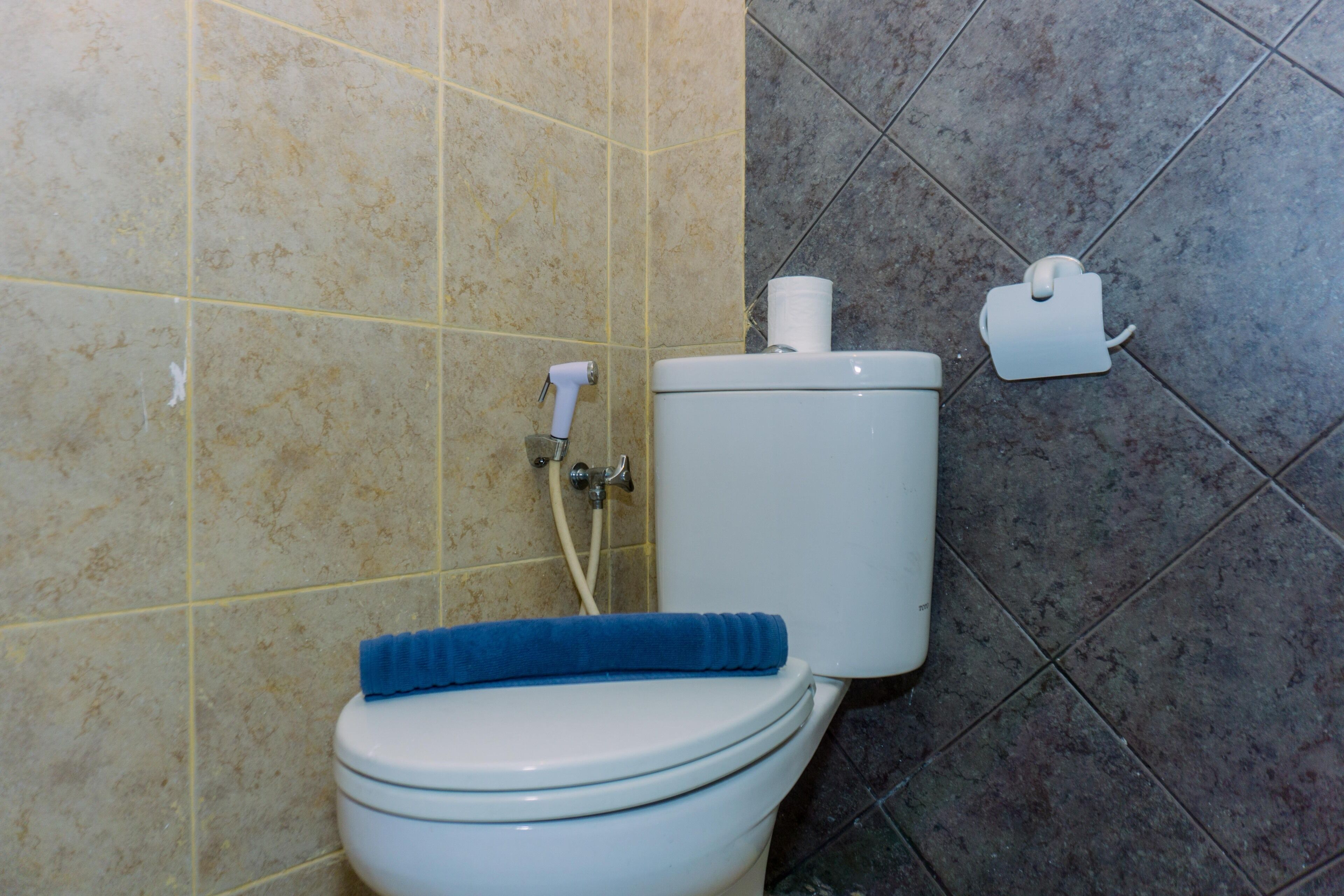 A bathroom with a toilet, a blue bath mat, a toilet paper holder, and a hand dryer.
