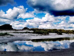 A natural landscape with a reflective water body, sandy terrain, and vegetation.