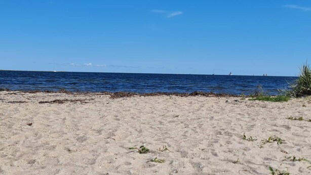 Une plage avec une eau d’un bleu limpide, un rivage sablonneux et un objet vert sur le sable.