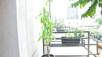 Standard-Doppelzimmer | Blick vom Balkon