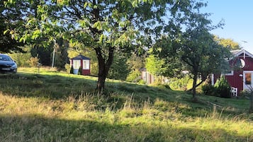 A rural landscape with a red barn, a small wooden structure, and a tree.