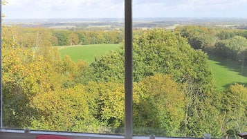 A room with a large window overlooking a green landscape with trees and a golf course.