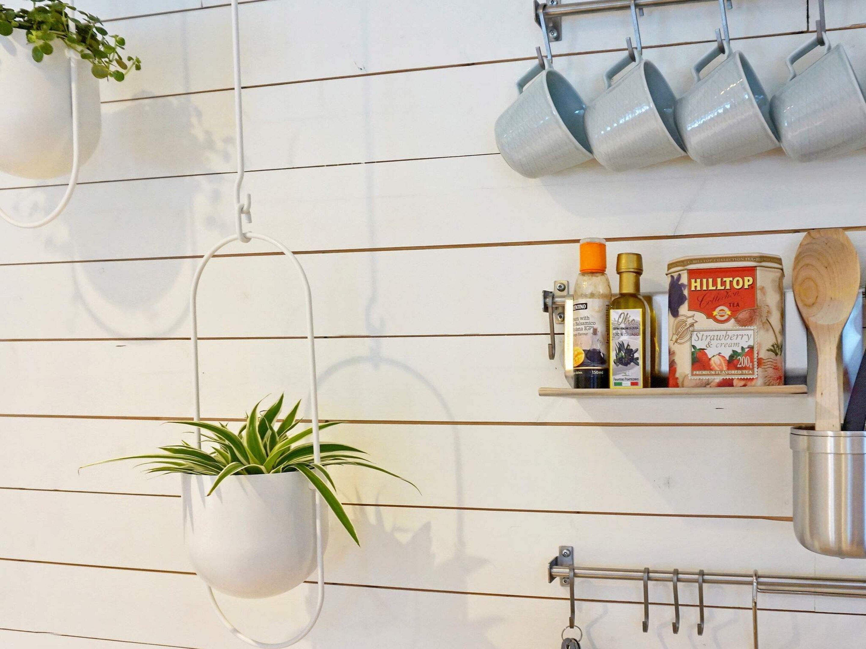 A kitchen with hanging pots, a shelf with tea and condiments, and a hanging plant.