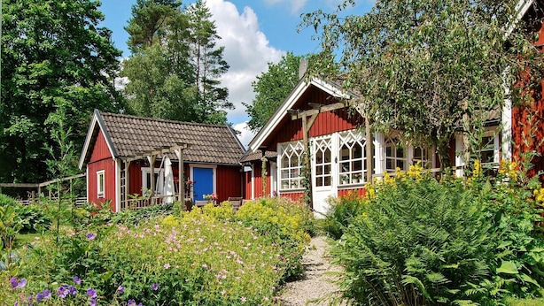 Une maison en bois rouge, avec une porte bleue et une fenêtre blanche, entourée d’un jardin où poussent différentes plantes et fleurs.