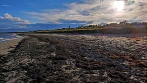 Hus | Strand