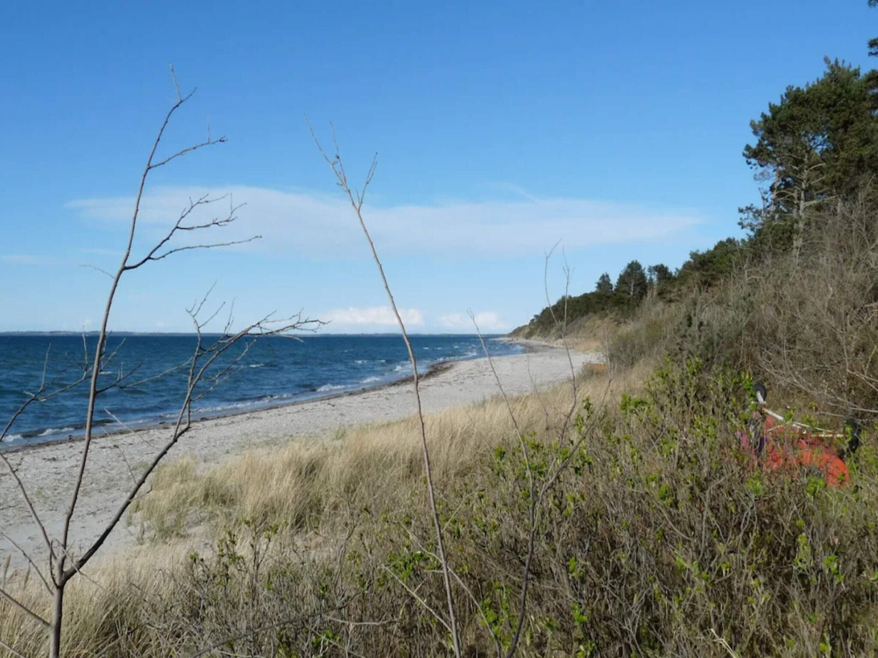 独立别墅 | 水景
