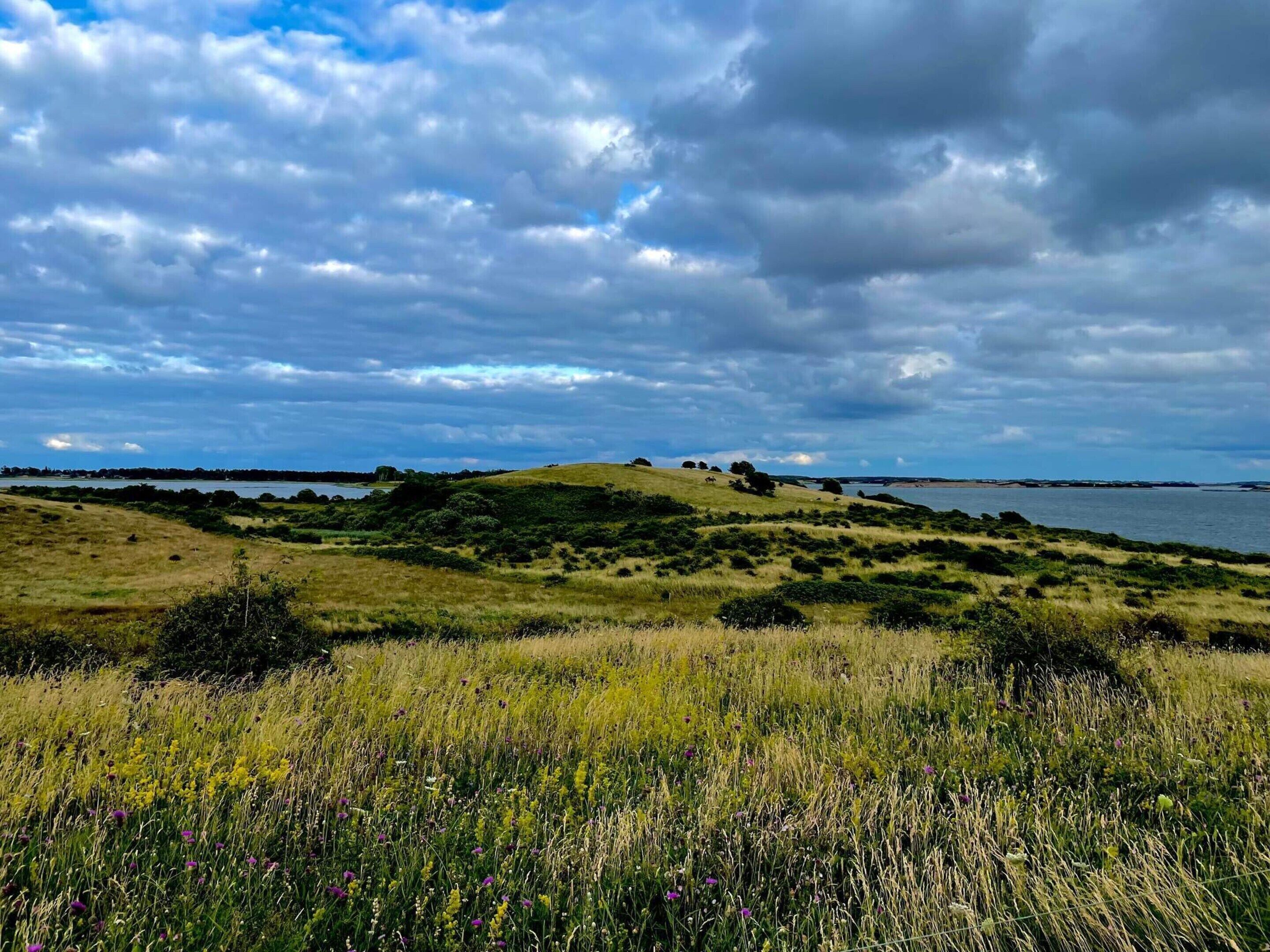 A coastal landscape with grassy hills, a body of water, and a cloudy sky.