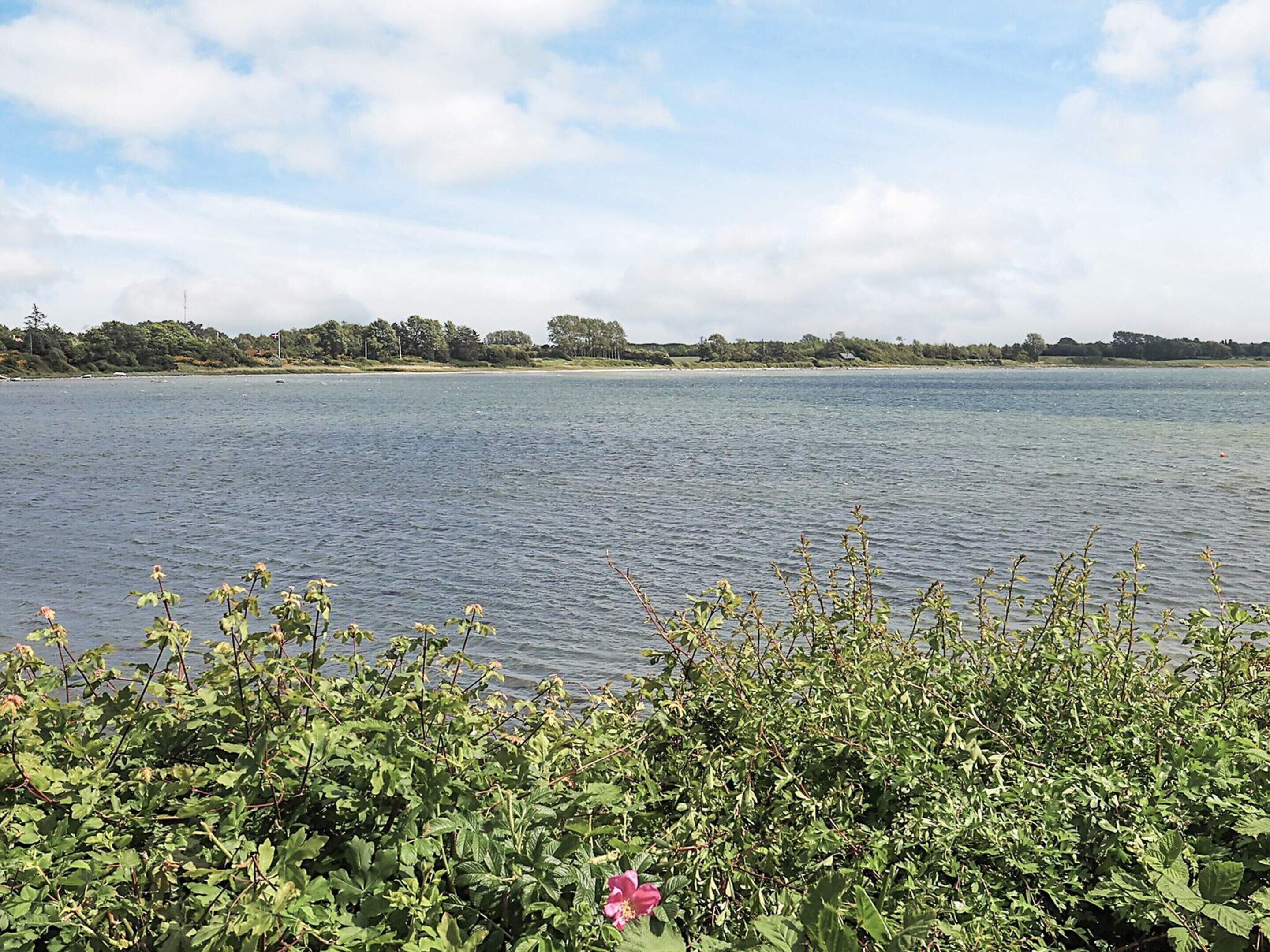 A lake with a clear sky and greenery in the foreground.