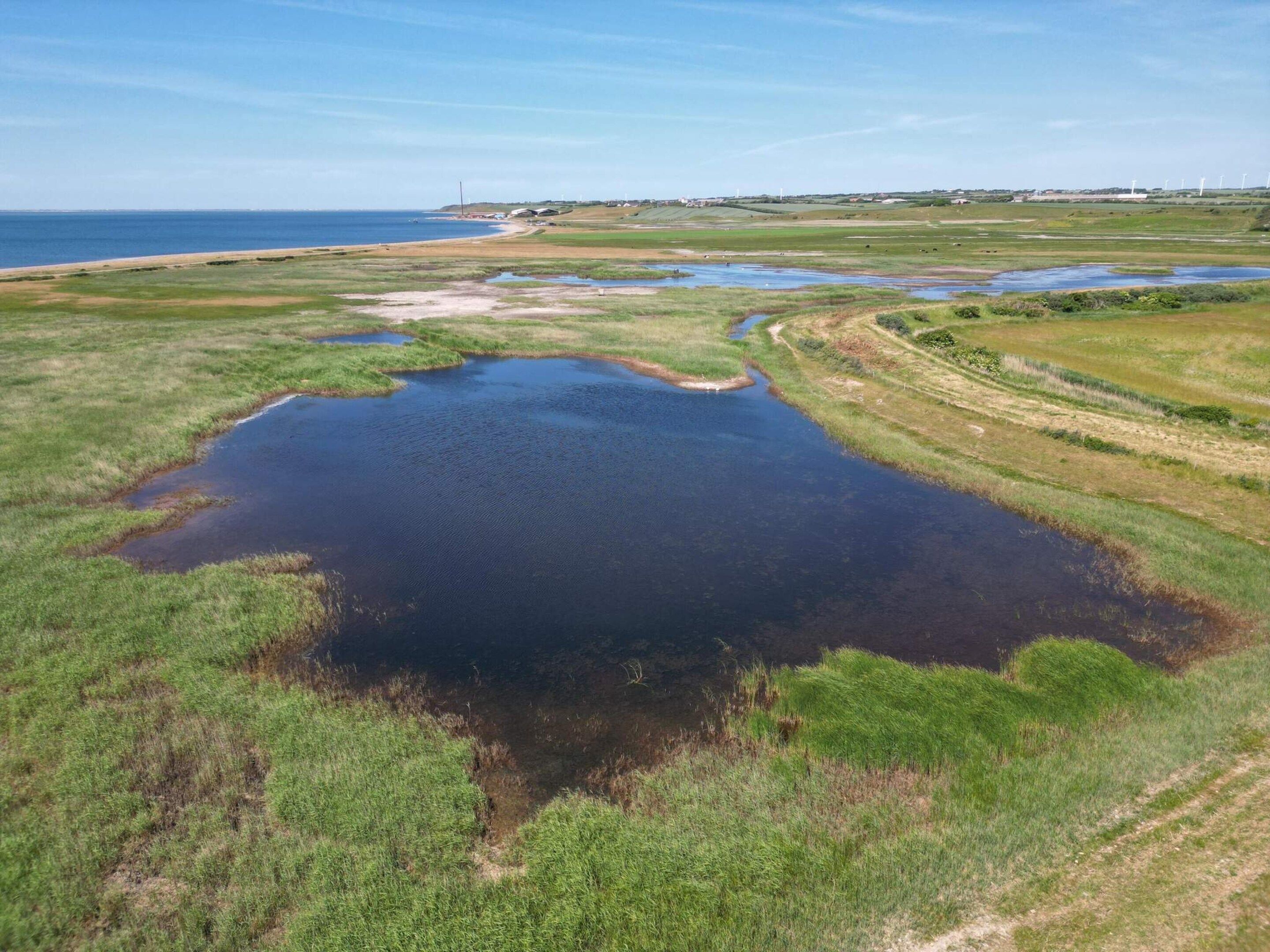 Una extensa masa de agua rodeada de campos verdes y una costa lejana.