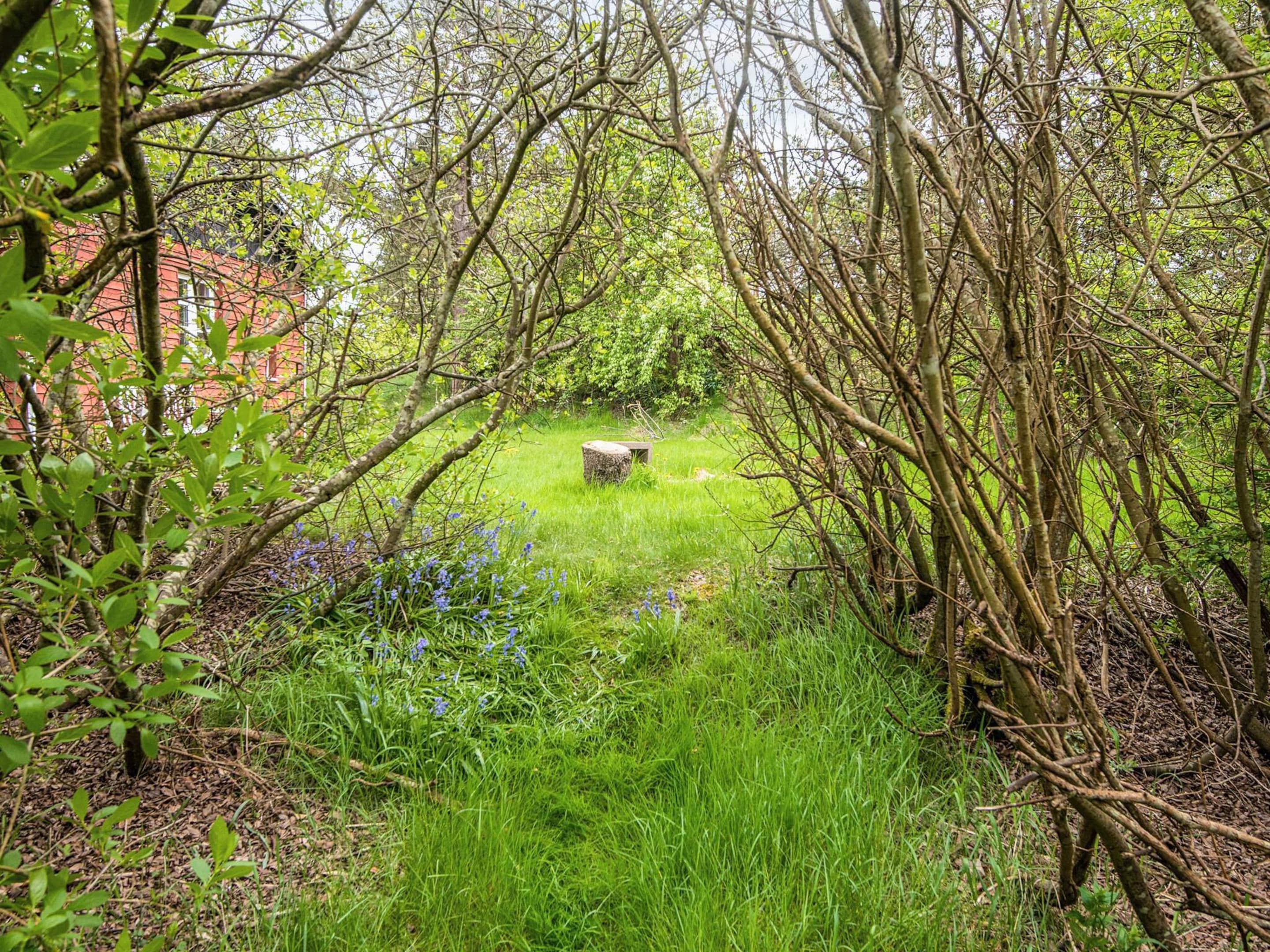 A natural outdoor area with a stone bench surrounded by grass and trees.