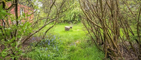 A natural outdoor area with a stone bench surrounded by grass and trees.