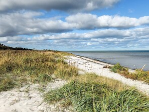 A beach path leading to the sea with dunes and vegetation.