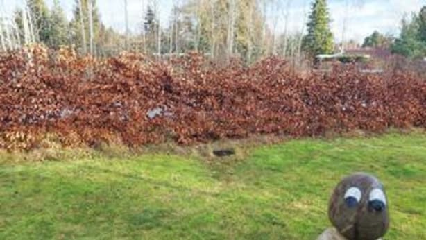 House | Property grounds - 5 Star Holiday Home in Vaeggerlose (Vaeggerlose)