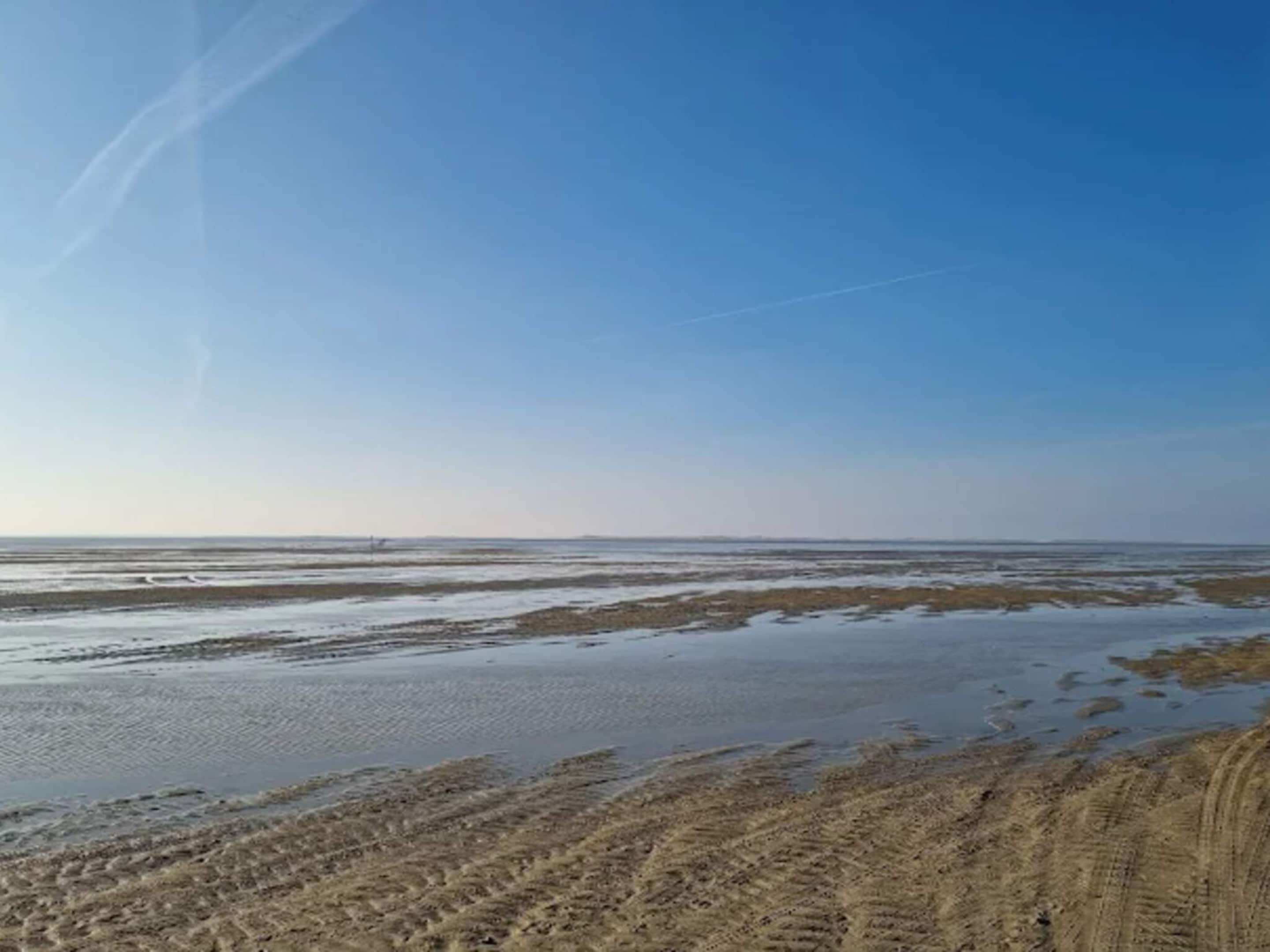 A coastal landscape with a sandy beach and a clear sky.