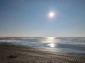 A beach with visible tire tracks in the sand, a clear sky, and the sun reflecting on the water.