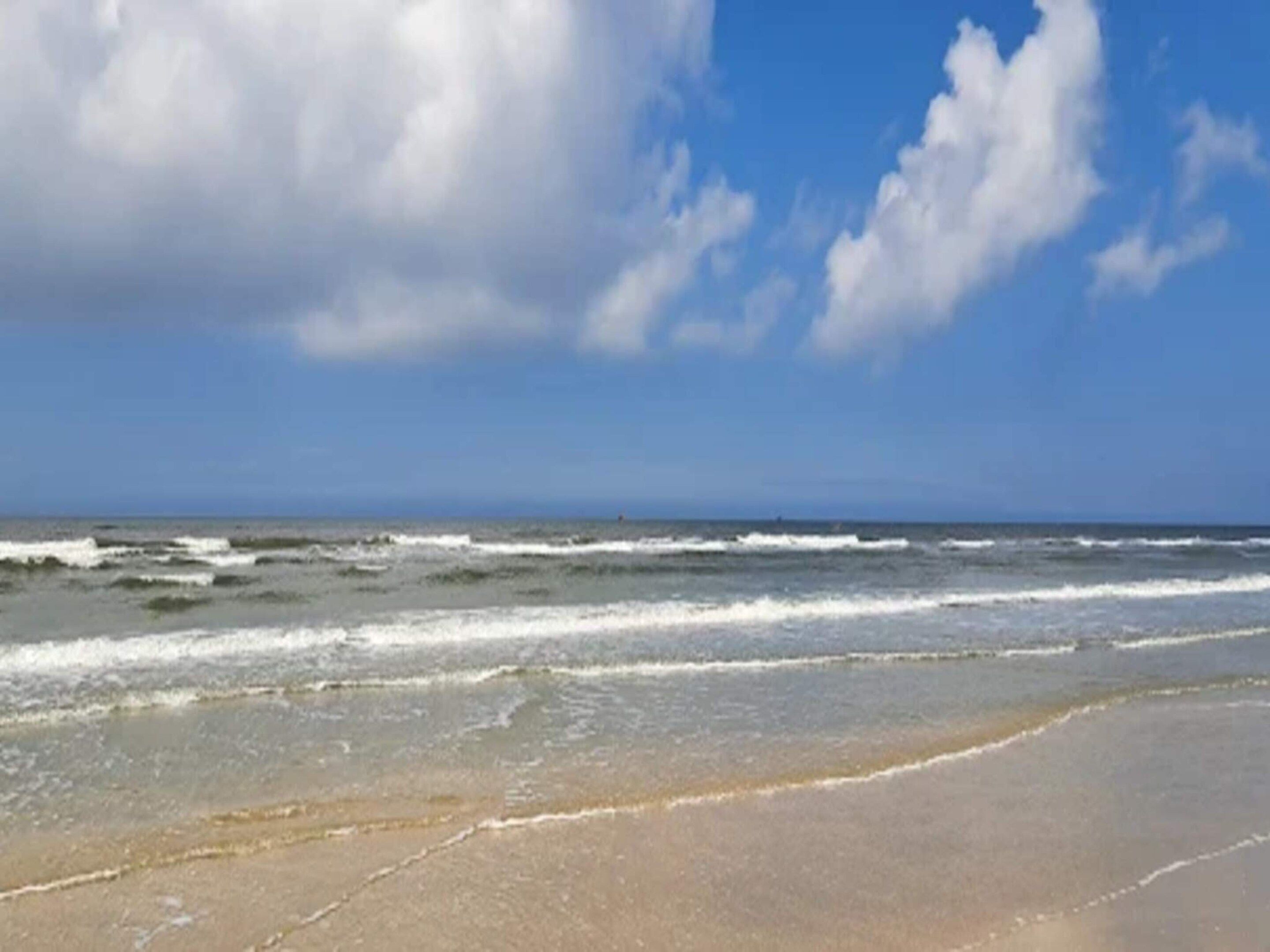 A beach with waves, a clear sky, and a distant horizon.