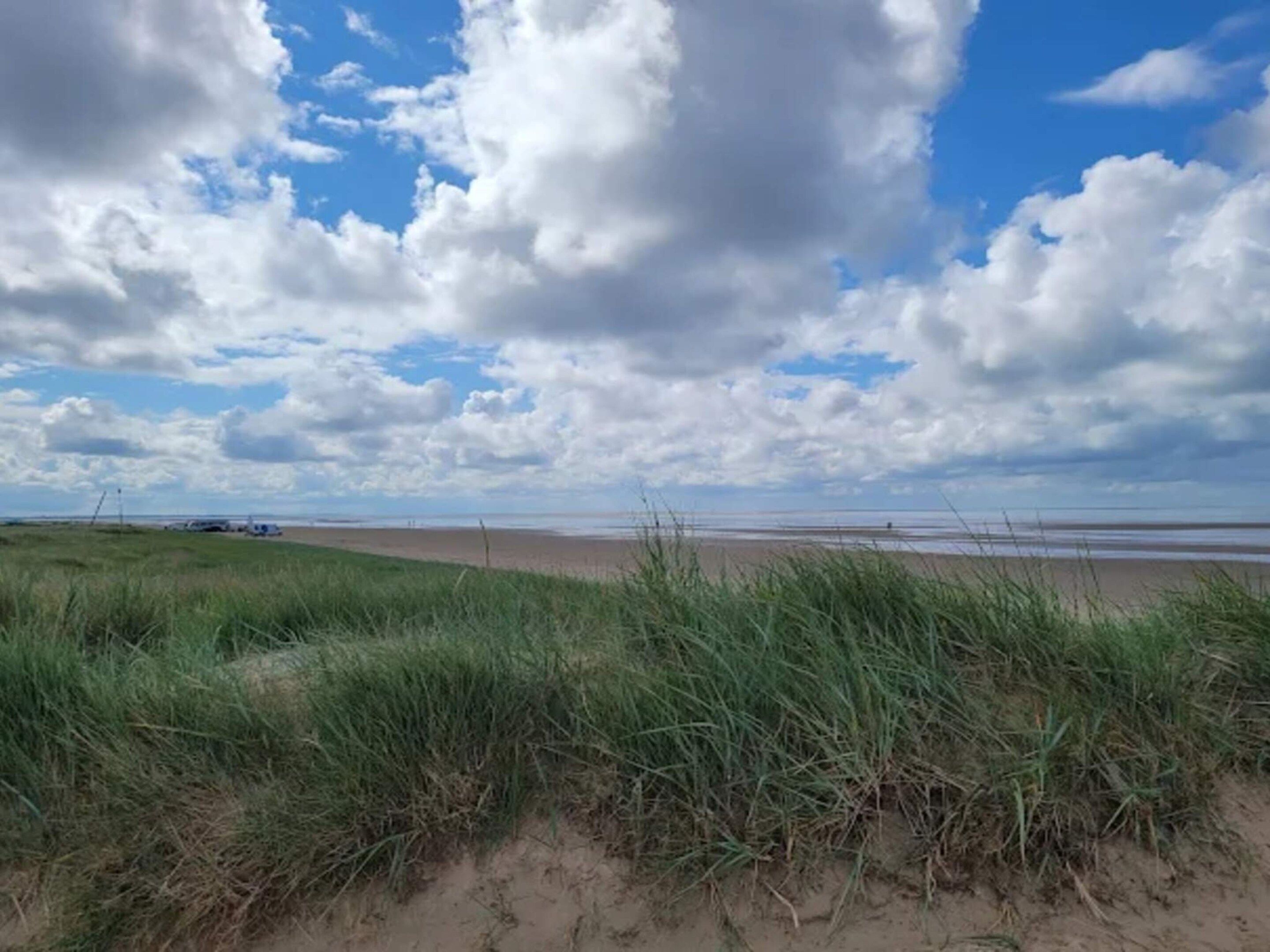 A beach with grassy dunes and a clear sky.