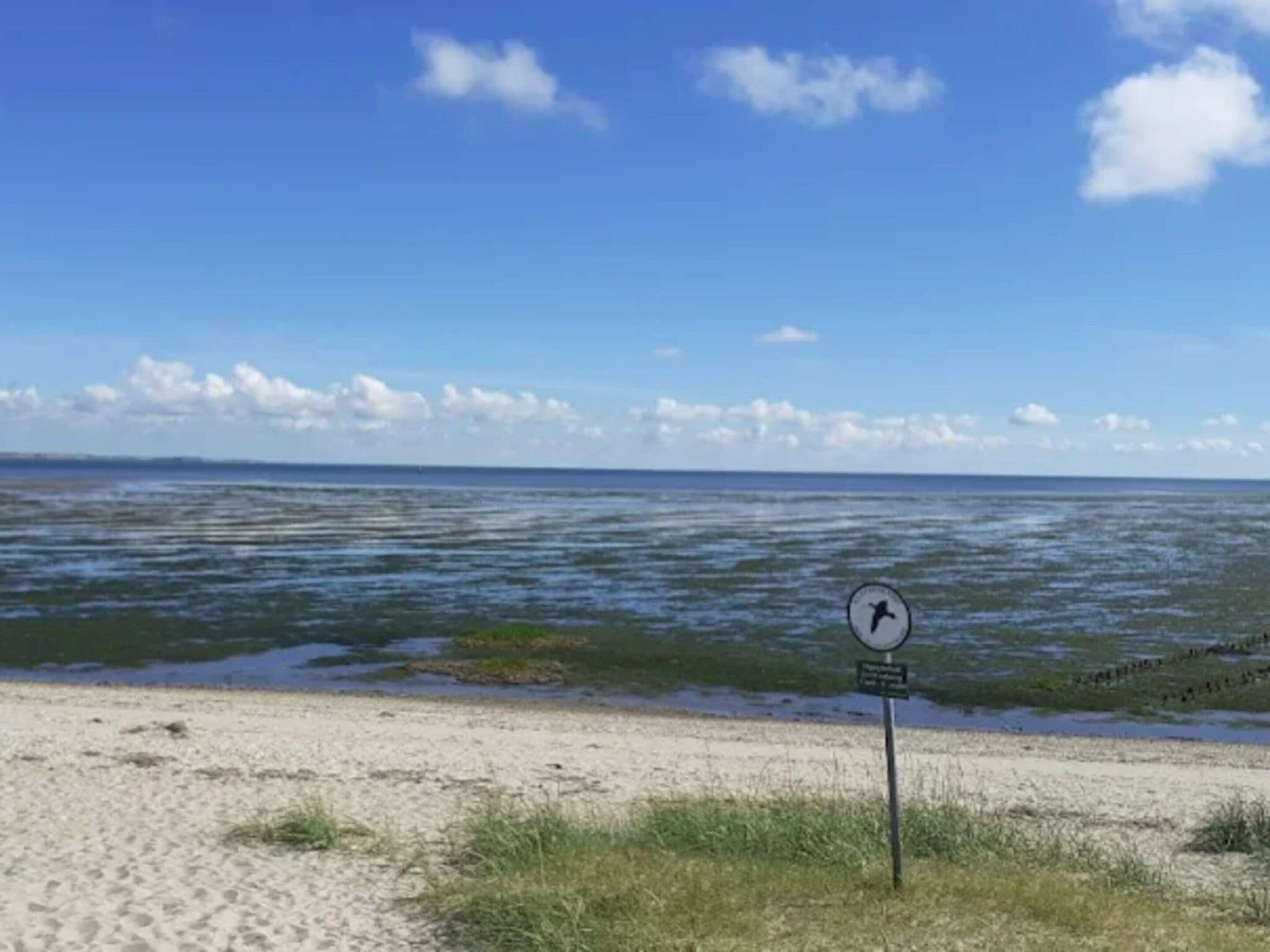 A beach with a sign indicating a lifeguard area.
