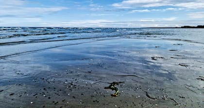 6 Person Holiday Home in Hadsund