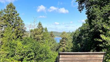 A wooden bench with metal armrests, positioned on a stone pathway surrounded by dense green foliage and trees, overlooking a body of water and distant hills.