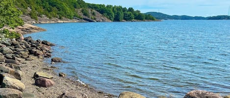 A rocky shoreline with clear water and a forested hill in the background.