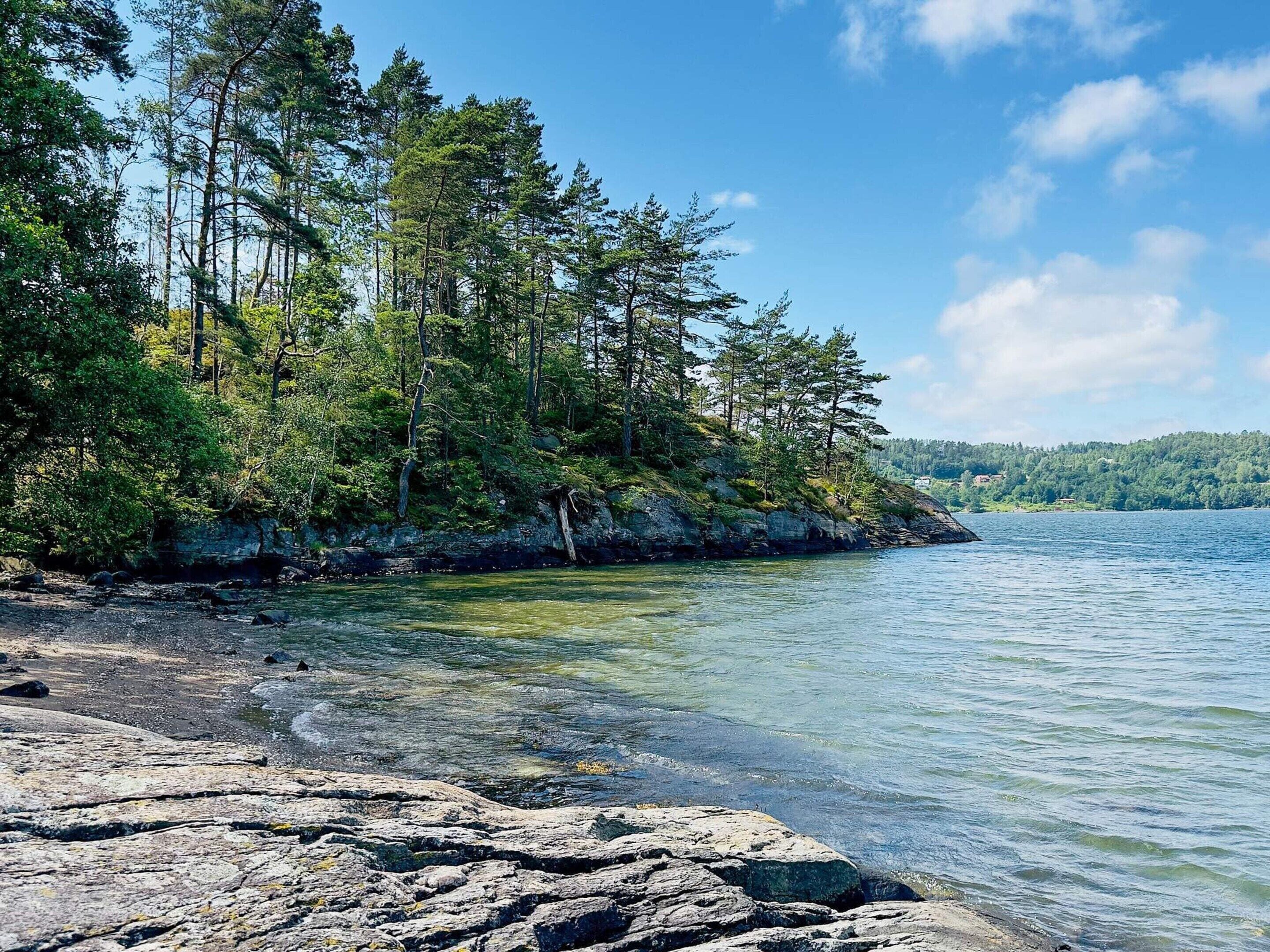 A rocky shoreline with clear water, surrounded by dense forest and a distant hill.
