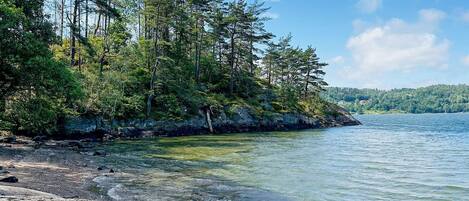A rocky shoreline with clear water, surrounded by dense forest and a distant hill.