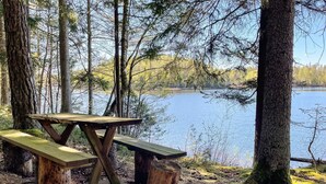 Ein Picknicktisch in einer bewaldeten Gegend mit einem See im Hintergrund.
