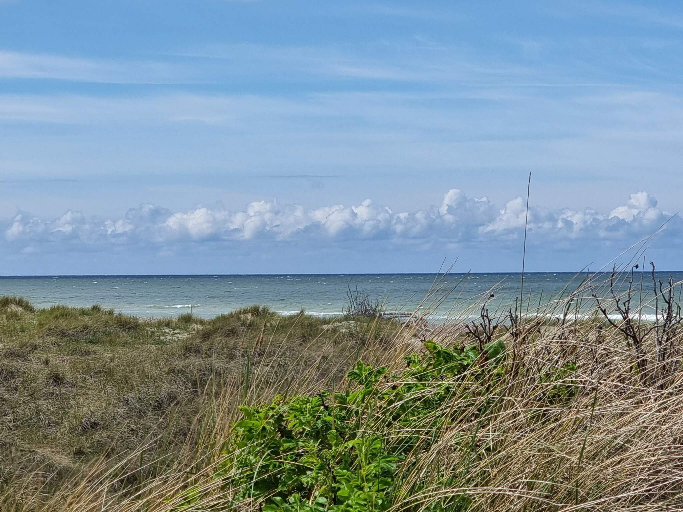 A coastal landscape with a view of the ocean and a grassy foreground.