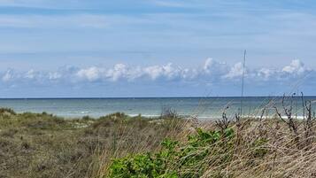 A coastal landscape with a view of the ocean and a grassy foreground.