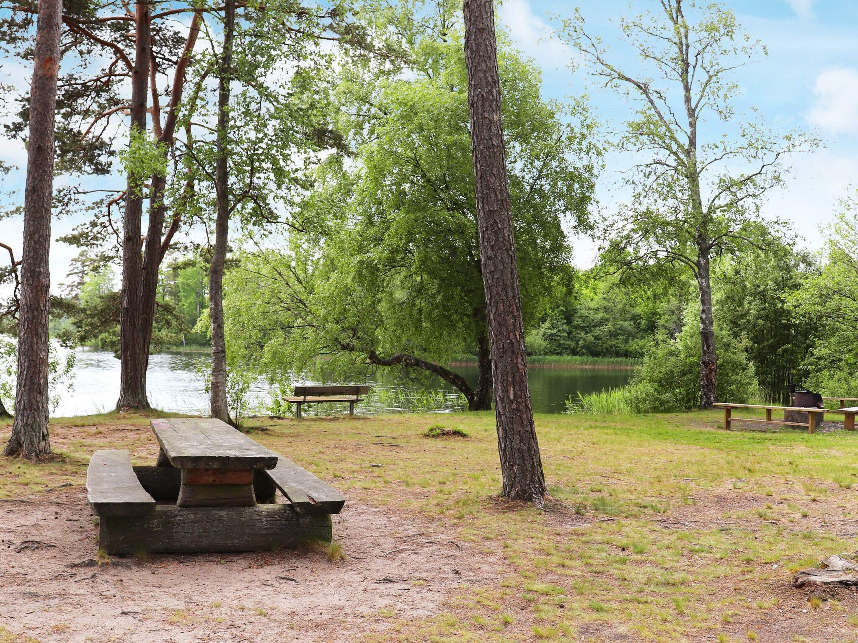 A picnic area with a bench and picnic table surrounded by trees and a body of water.