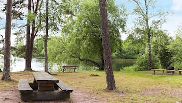 Un área de picnic con banco y mesa, rodeada de árboles y un cuerpo de agua.