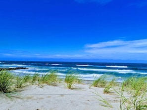 Una playa con olas, cielo despejado y césped al frente.