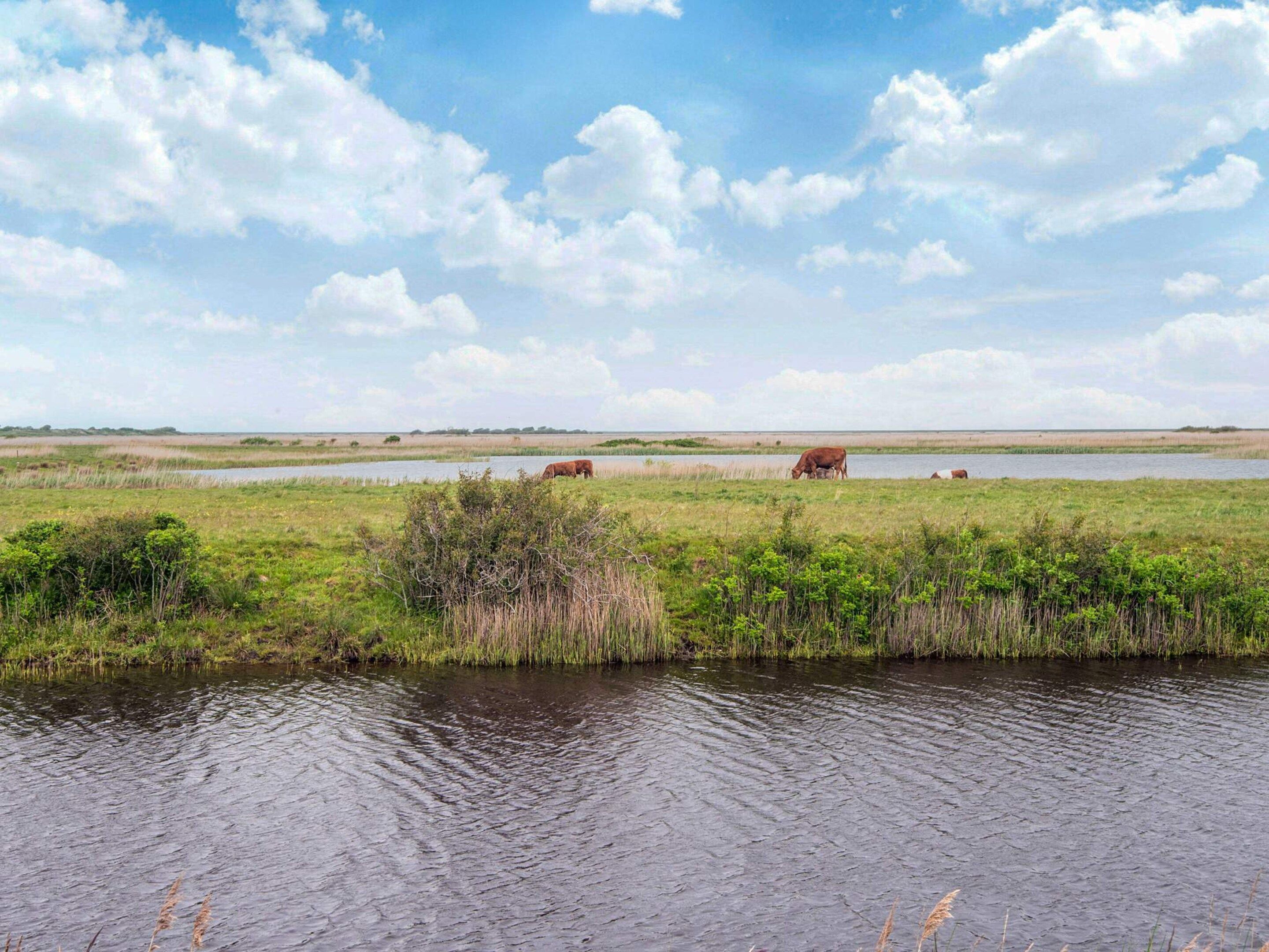 A flat landscape with a body of water in the foreground and a distant horizon.