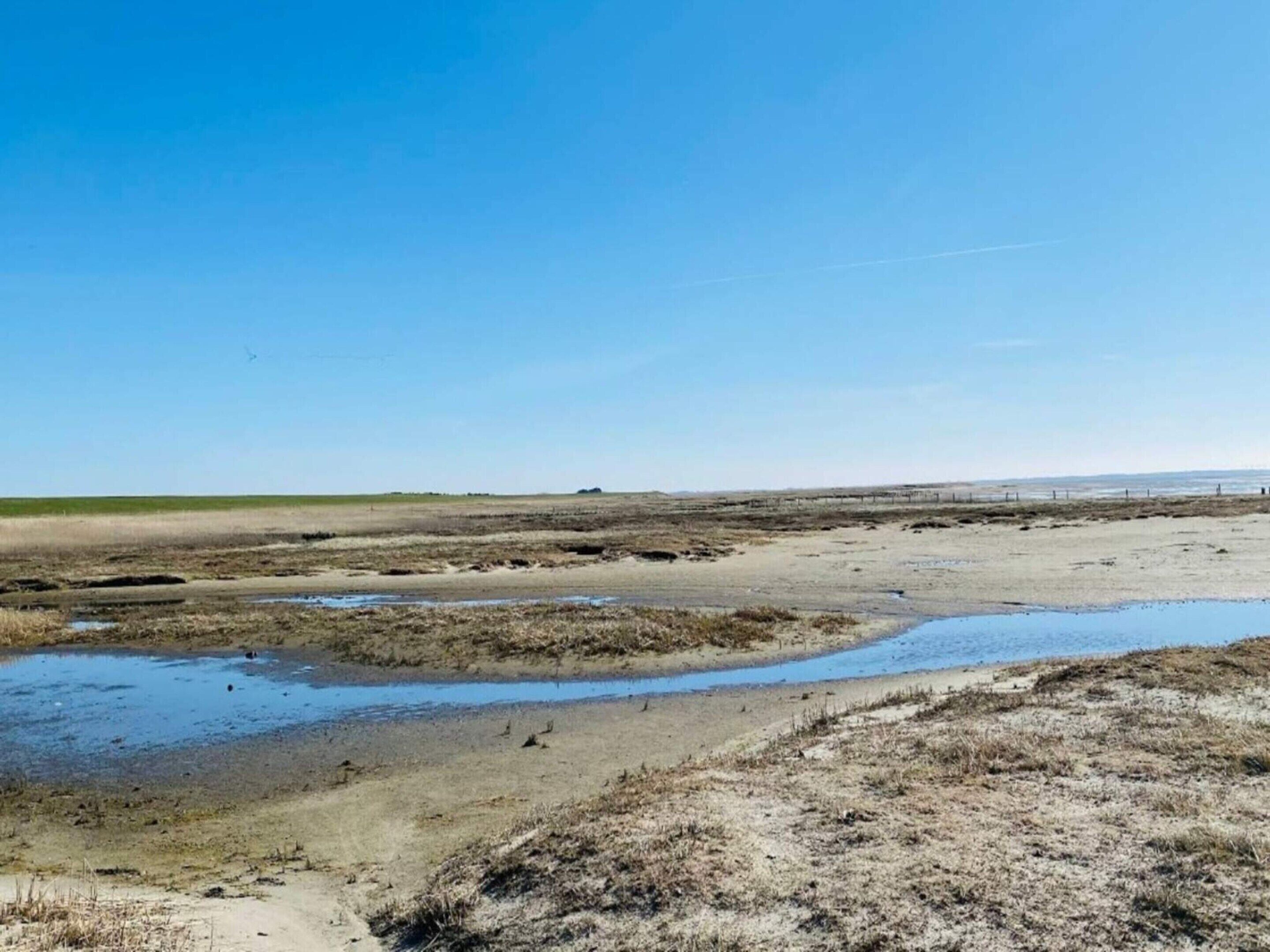 獨棟房屋 | 水景
