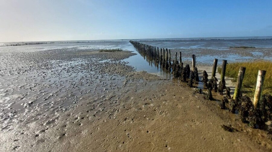 6 Person Holiday Home in Ribe-by Traum