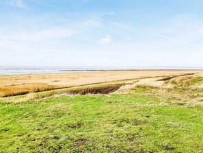 A coastal landscape with a grassy foreground and a sandy beach extending to the sea.