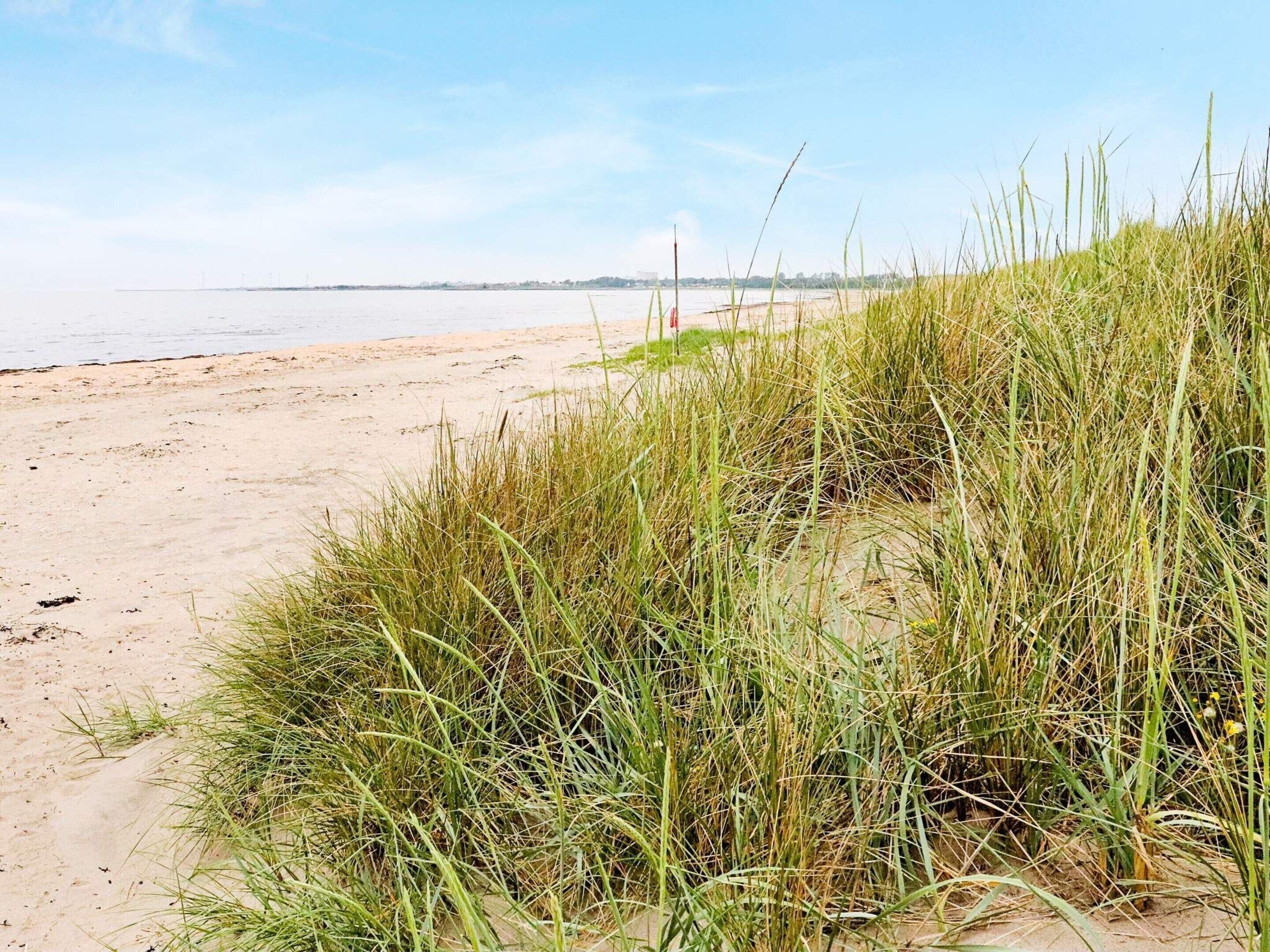 A beach with sand and tall grass in the foreground.