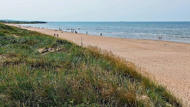 A beach with a grassy foreground and a clear view of the sea.