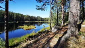 Un lago tranquillo circondato da alberi alti e un cielo limpido.