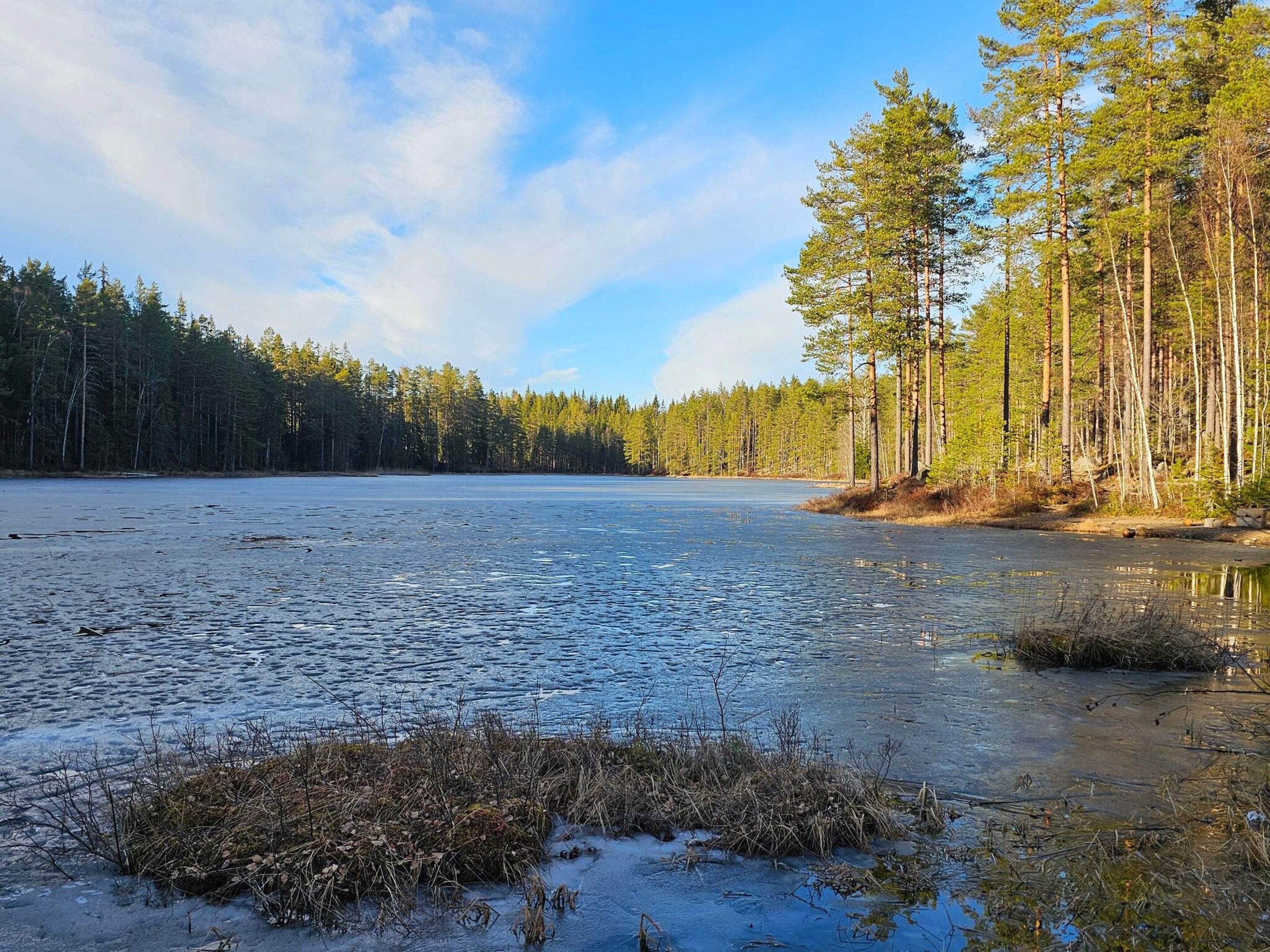 A frozen lake with trees on the right and a clear sky.