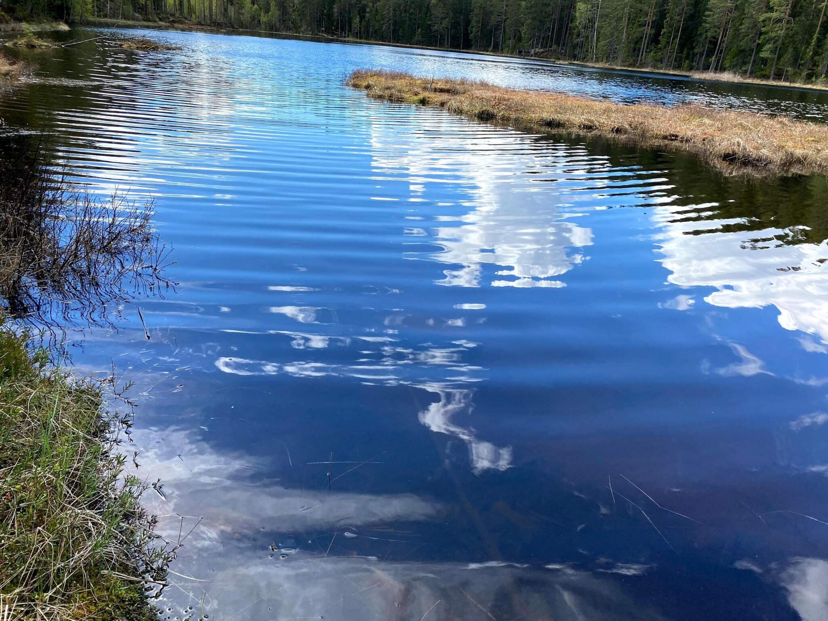 Un lac paisible dont les eaux reflètent clairement le ciel et les arbres environnants.