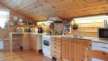 Cocina de cabaña de madera con estufa, lavamanos y armarios.