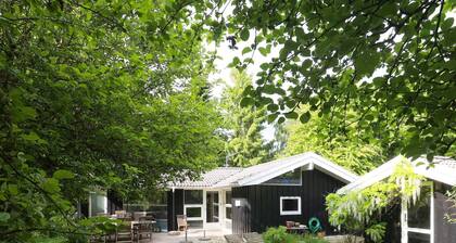 4 Star Holiday Home in Tisvildeleje