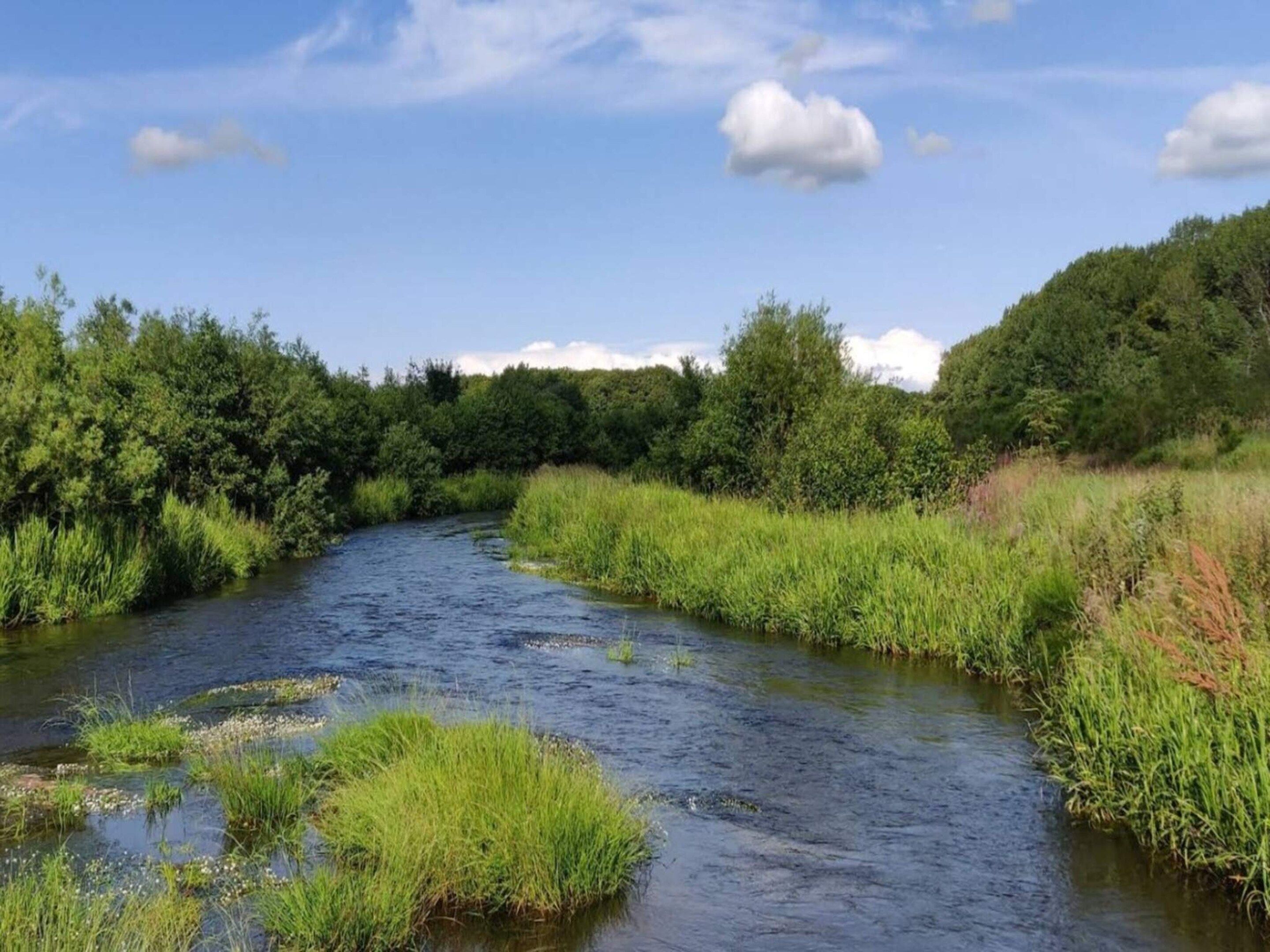 A river flowing through a natural landscape with dense greenery on both sides.