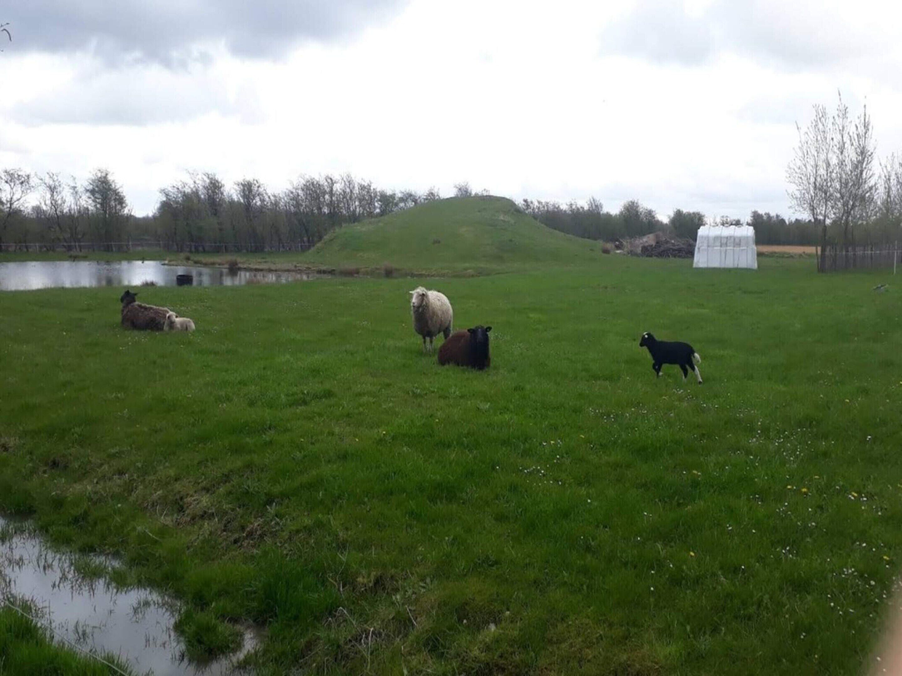 Maison | Enceinte de l’hébergement